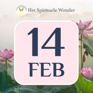 Standaard Ticket: 14 februari Breda