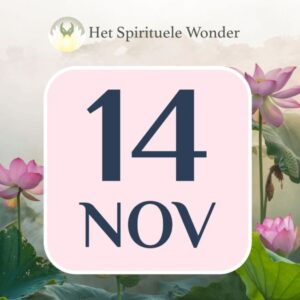 Standaard ticket: 14 november Breda