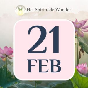 Standaard ticket: 21 februari Antwerpen