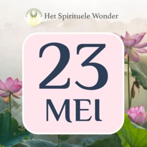 Standaard ticket: 23 mei Antwerpen
