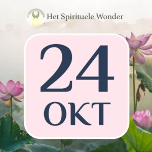 Standaard ticket: 24 oktober Antwerpen