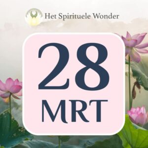 Standaard ticket: 28 maart Antwerpen