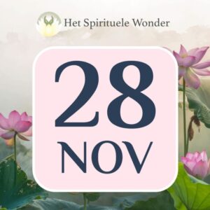 Standaard ticket: 28 november Antwerpen