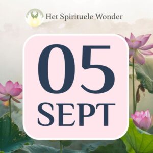 Standaard ticket: 5 september Antwerpen